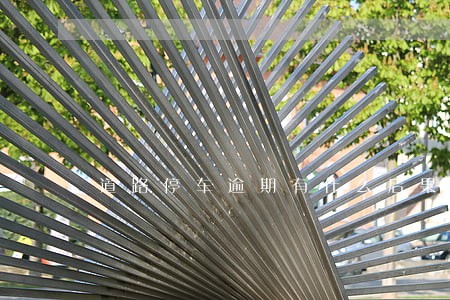 道路停车逾期有什么后果 道路停车逾期有什么后果