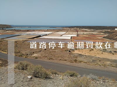 道路停车逾期罚款在哪交费 道路停车逾期罚款在哪交费