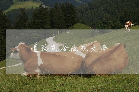 道路安全法规文库