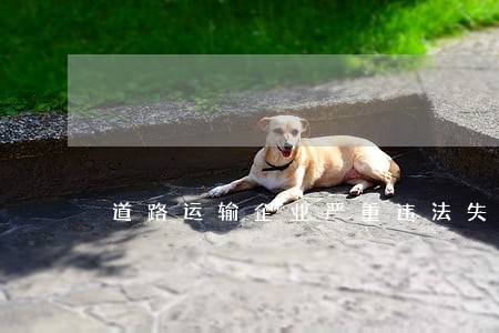 道路运输企业严重违法失信 道路运输企业严重违法失信