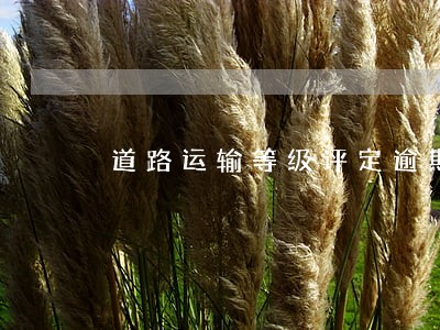 道路运输等级评定逾期罚款 道路运输等级评定逾期罚款