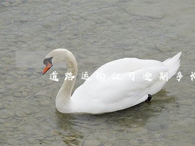 道路运输证可逾期多长时间 道路运输证可逾期多长时间