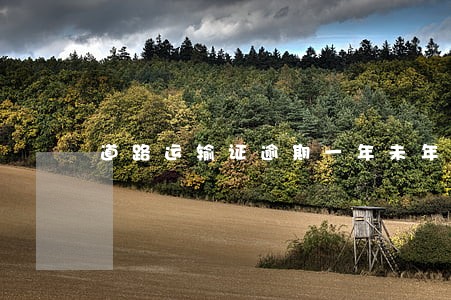 道路运输证逾期一年未年审 道路运输证逾期一年未年审