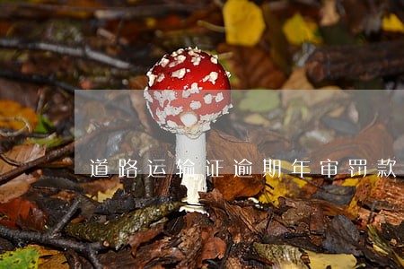 道路运输证逾期年审罚款多少 道路运输证逾期年审罚款多少