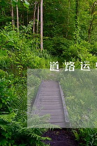道路运输证逾期未审验罚款多少 道路运输证逾期未审验罚款多少