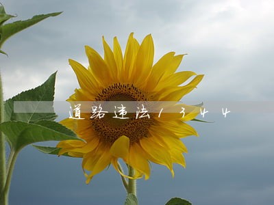 道路违法1344 道路违法1344