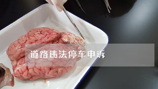 道路违法停车申诉 道路违法停车申诉