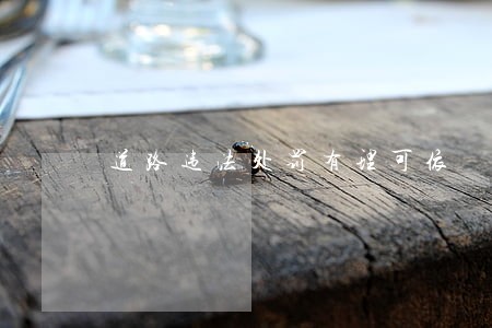 道路违法处罚有理可依 道路违法处罚有理可依