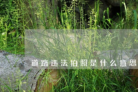 道路违法拍照是什么意思 道路违法拍照是什么意思