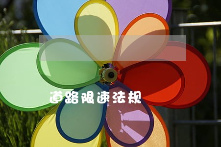 道路限速法规 道路限速法规
