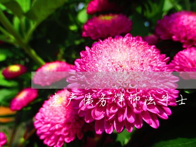 遗产债务律师法斗士 遗产债务律师法斗士