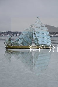 遗产分配律师咨询费 遗产分配律师咨询费