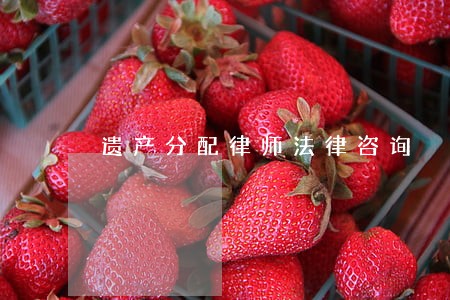 遗产分配律师法律咨询 遗产分配律师法律咨询