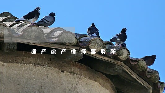 遗产房产律师事务所 遗产房产律师事务所