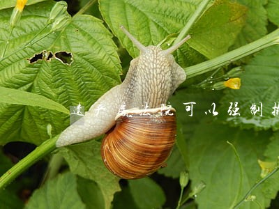 遗产房法院可以强制执行 遗产房法院可以强制执行