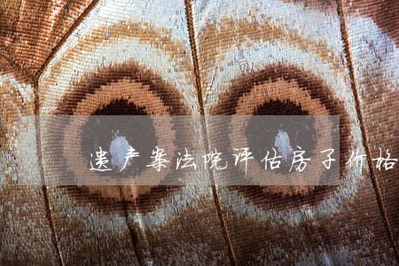 遗产案法院评估房子价格 遗产案法院评估房子价格