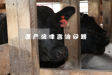 遗产法律咨询问题 遗产法律咨询问题