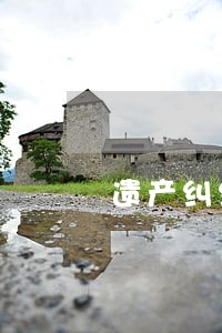 遗产纠纷法律意见书 遗产纠纷法律意见书