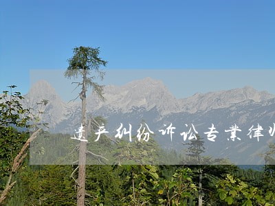 遗产纠纷诉讼专业律师 遗产纠纷诉讼专业律师