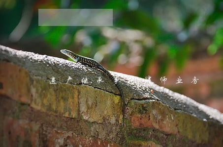 遗产继承事务律师业务 遗产继承事务律师业务