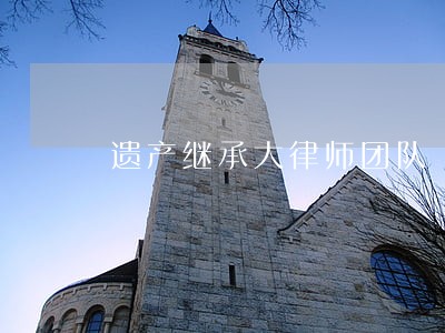 遗产继承大律师团队