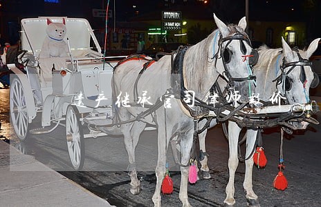 遗产继承官司律师报价 遗产继承官司律师报价