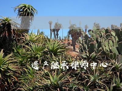遗产继承律师中心 遗产继承律师中心