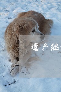 遗产继承律师付费咨询 遗产继承律师付费咨询
