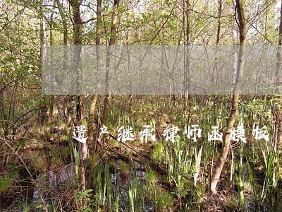 遗产继承律师函模板 遗产继承律师函模板
