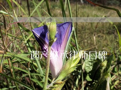 遗产继承律师口碑 遗产继承律师口碑