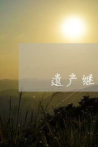 遗产继承律师咨询电话 遗产继承律师咨询电话