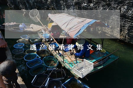 遗产继承律师文集