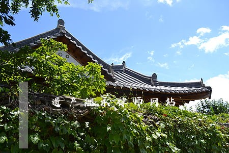 遗产继承律师网站 遗产继承律师网站