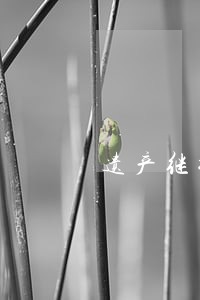 遗产继承房产律师费 遗产继承房产律师费
