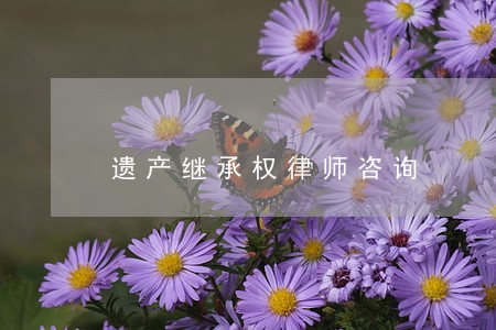 遗产继承权律师咨询 遗产继承权律师咨询