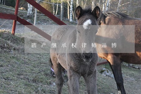 遗产继承权律师淄博 遗产继承权律师淄博