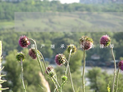 遗产继承权纠纷律师 遗产继承权纠纷律师