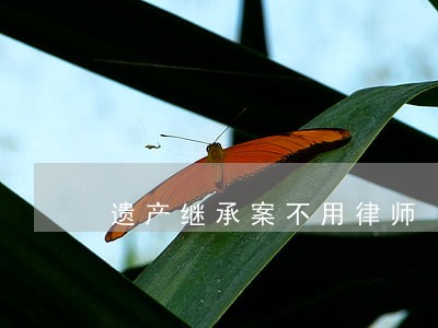 遗产继承案不用律师 遗产继承案不用律师
