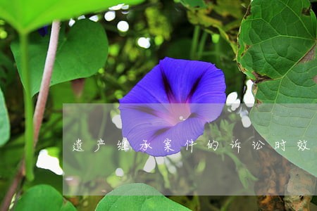 遗产继承案件的诉讼时效