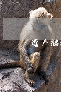 遗产继承案律师费多少 遗产继承案律师费多少