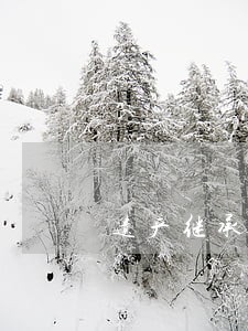 遗产继承法律咨询律师 遗产继承法律咨询律师
