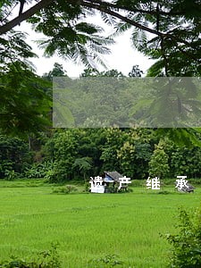 遗产继承法院委托书 遗产继承法院委托书