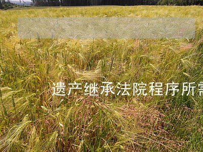 遗产继承法院程序所需材料 遗产继承法院程序所需材料