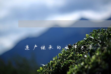 遗产继承的法律关系 遗产继承的法律关系