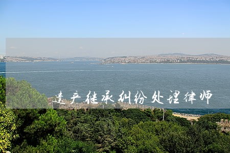 遗产继承纠纷处理律师 遗产继承纠纷处理律师