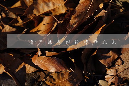 遗产继承纠纷律师北京 遗产继承纠纷律师北京
