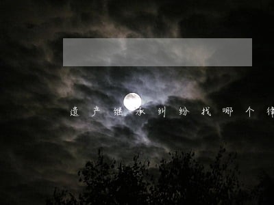 遗产继承纠纷找哪个律师上诉 遗产继承纠纷找哪个律师上诉