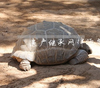 遗产继承网律师多少钱 遗产继承网律师多少钱