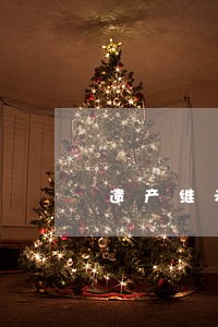 遗产继承诉讼流程律师 遗产继承诉讼流程律师