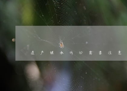 遗产继承诉讼需要注意哪些问题 遗产继承诉讼需要注意哪些问题